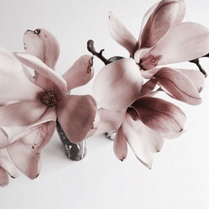 Fleurs roses élégantes accueillant visiteurs chez Kah'NG, institut de beauté à Alfortville, France.